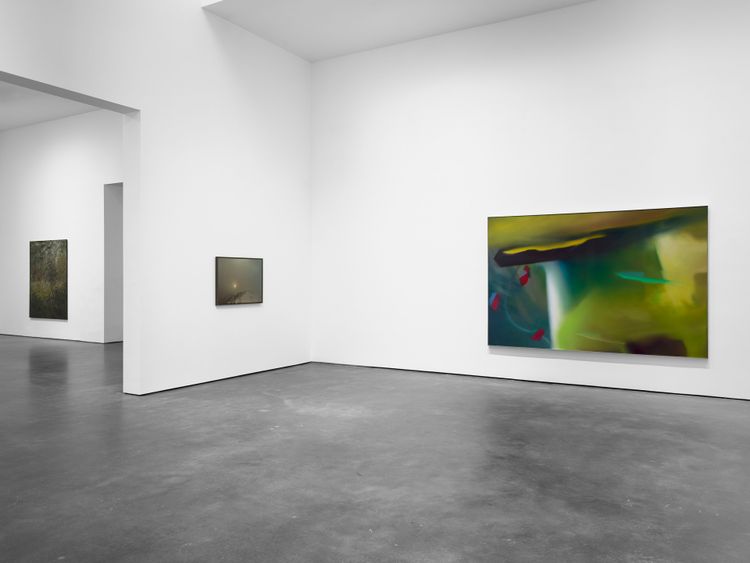 Installation view, Landschaften, David Zwirner, 537 West 20th Street · 2026 (9)