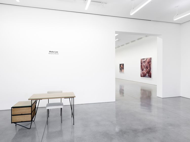 Installation view, Persona Works, David Kordansky Gallery · 2026 (7)