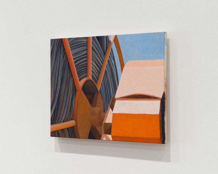 Installation view, Altoon Sultan, Hoffman Donahue