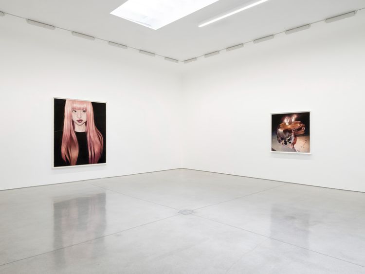 Installation view, Persona Works, David Kordansky Gallery · 2026 (4)