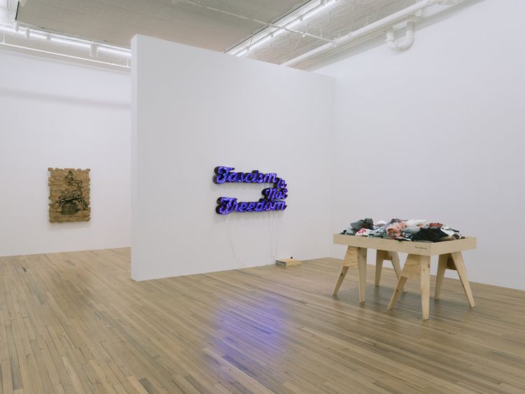Installation view, Andrea Bowers: Democracy Needs Our Courage, Andrew Kreps Gallery, New York, 2026. Photo: Elisabeth Bernstein