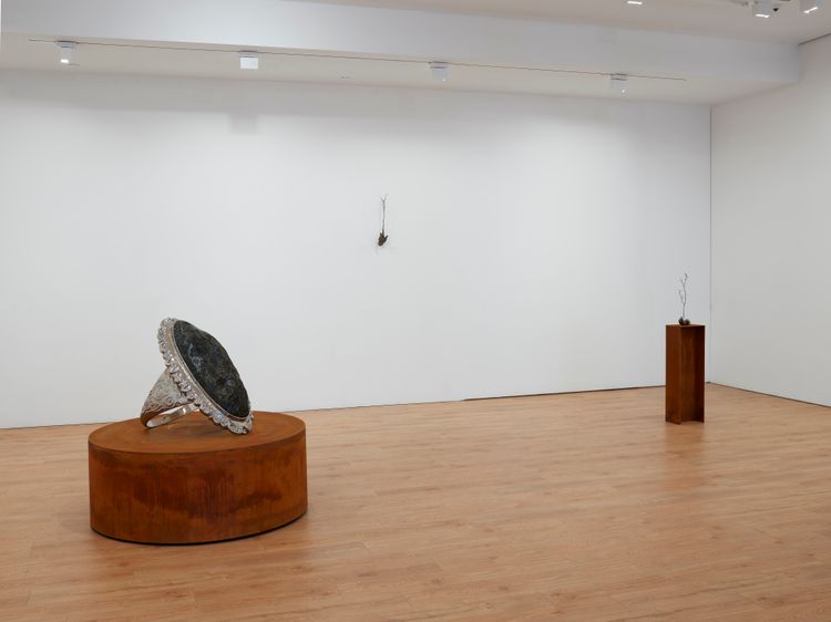 Installation view, Heirloom, Lisson, 508 W 24th Street · 2026 (2)
