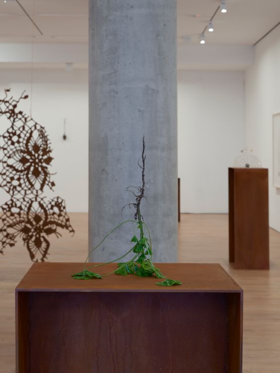 Installation view, Heirloom, Lisson, 508 W 24th Street · 2026 (5)