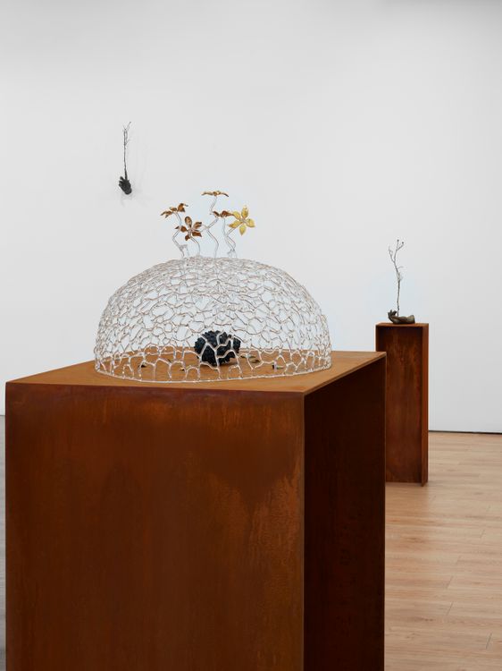 Installation view, Heirloom, Lisson, 508 W 24th Street · 2026 (4)