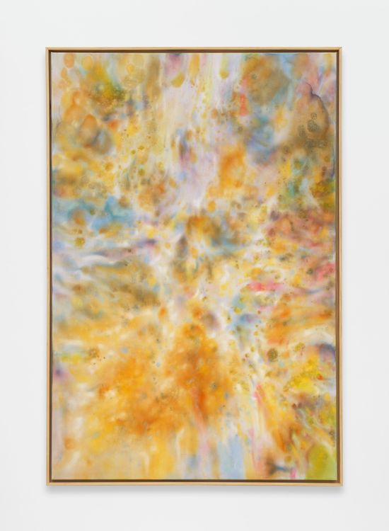 Installation view, Alexandra McGowan, Megan Mulrooney · 2026 (6)