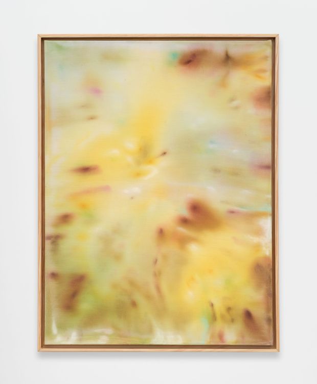 Installation view, Alexandra McGowan, Megan Mulrooney · 2026 (7)