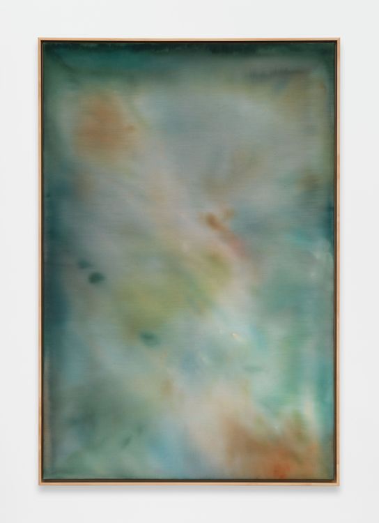 Installation view, Alexandra McGowan, Megan Mulrooney · 2026 (16)