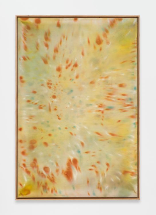 Installation view, Alexandra McGowan, Megan Mulrooney · 2026 (5)