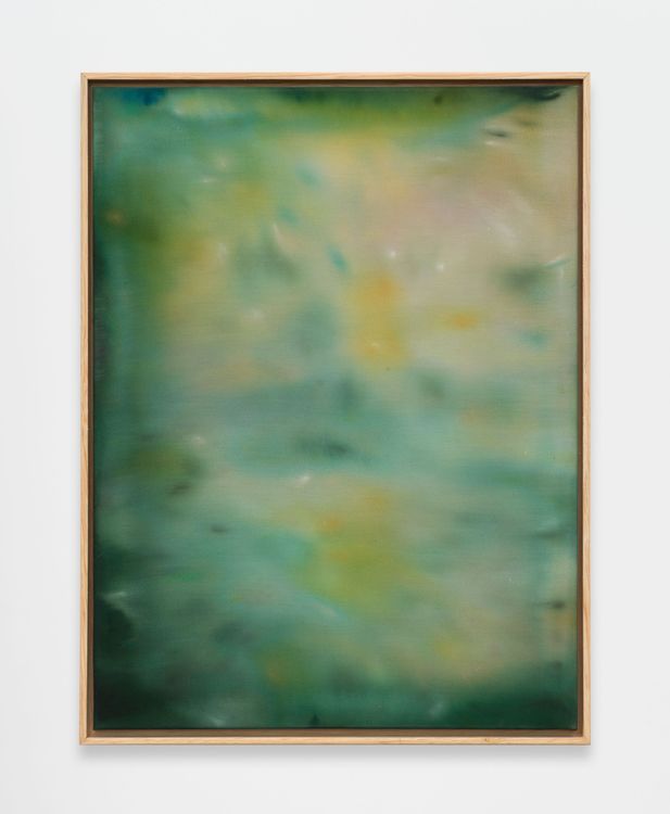 Installation view, Alexandra McGowan, Megan Mulrooney · 2026 (9)