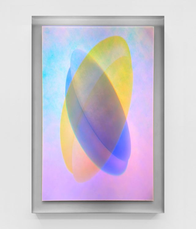 Installation view, Material Light, Parrasch Heijnen Gallery · 2026 (19)