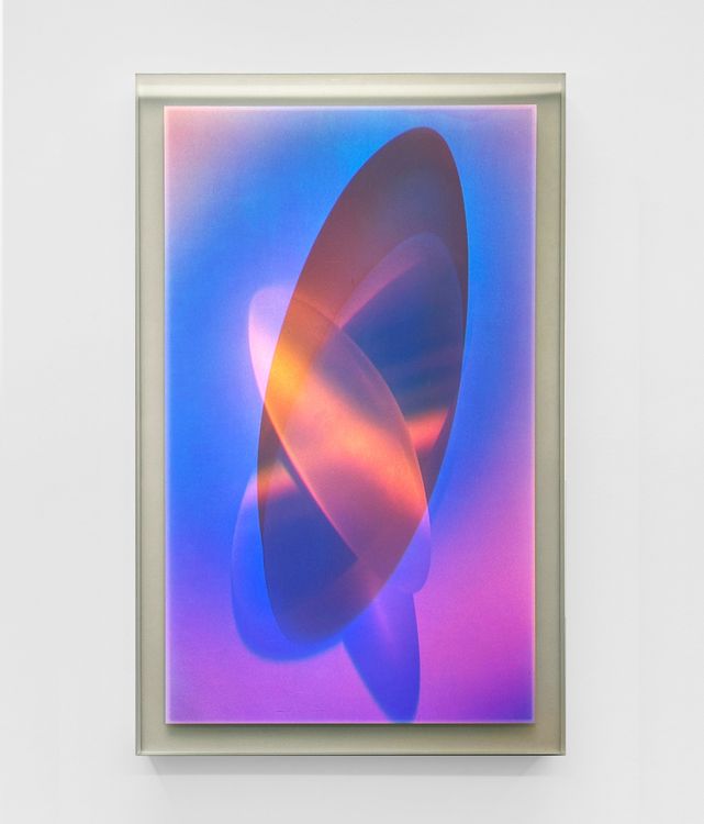 Installation view, Material Light, Parrasch Heijnen Gallery · 2026 (21)