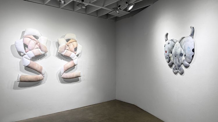 Installation view, SPLAY, GALLERY SADE LOS ANGELES · 2026 (5)