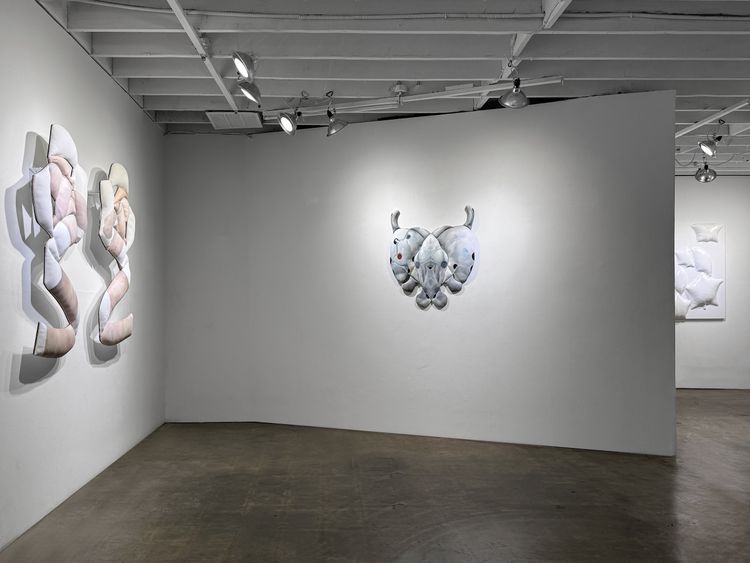 Installation view, SPLAY, GALLERY SADE LOS ANGELES · 2026 (6)