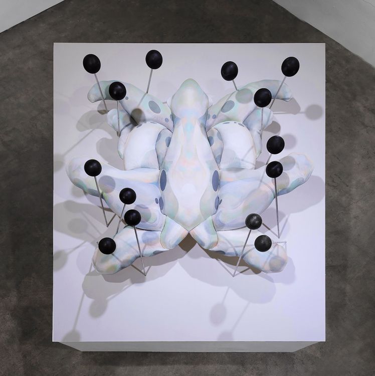 Installation view, SPLAY, GALLERY SADE LOS ANGELES · 2026 (3)