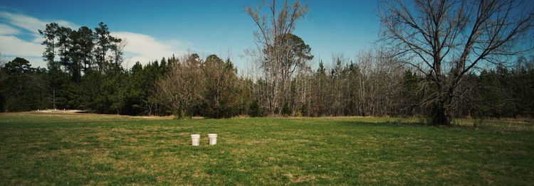 Installation view, All I Thought / I Loved, Casey Kaplan · 2026 (25)