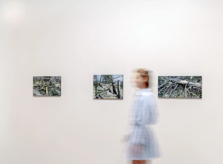 Installation view, Acadia, Schoelkopf Gallery · 2025 (1)