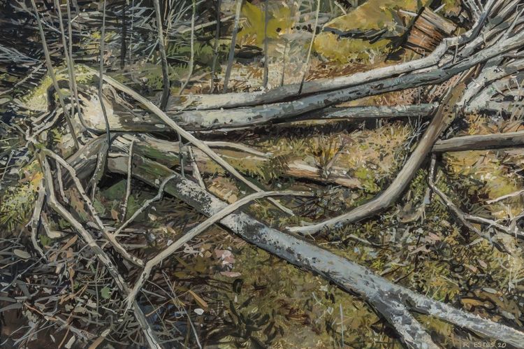 Installation view, Acadia, Schoelkopf Gallery · 2025 (4)