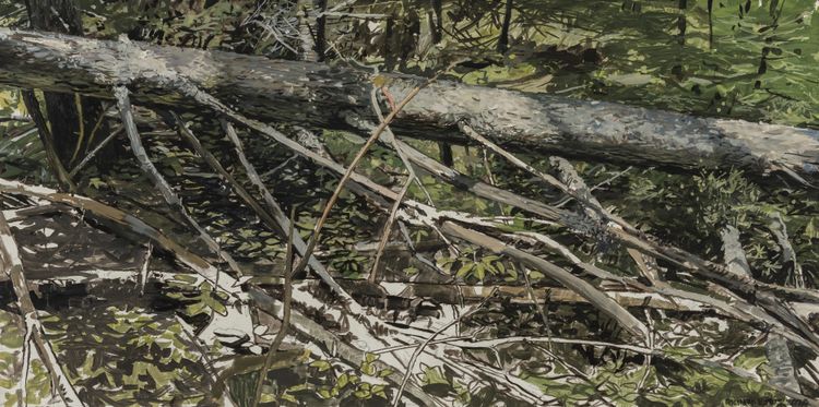 Installation view, Acadia, Schoelkopf Gallery · 2025 (5)