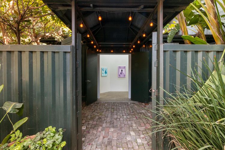 Installation view, Obviously, Doctor, de boer · 2025 (5)