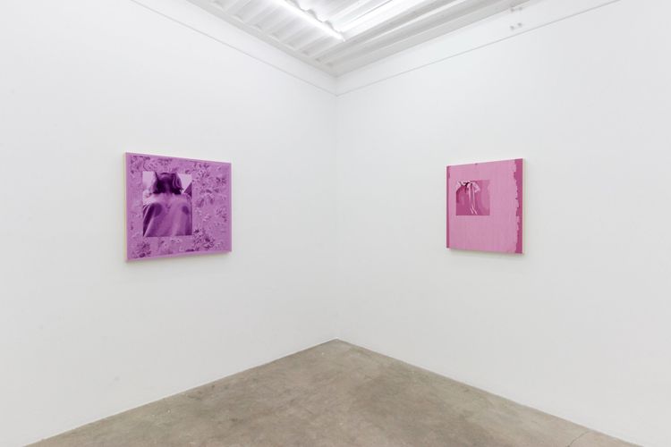 Installation view, Obviously, Doctor, de boer