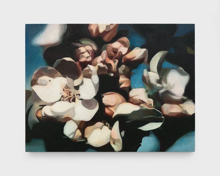 Installation view, Another Nature, Parrasch Heijnen Gallery · 2025 (7)