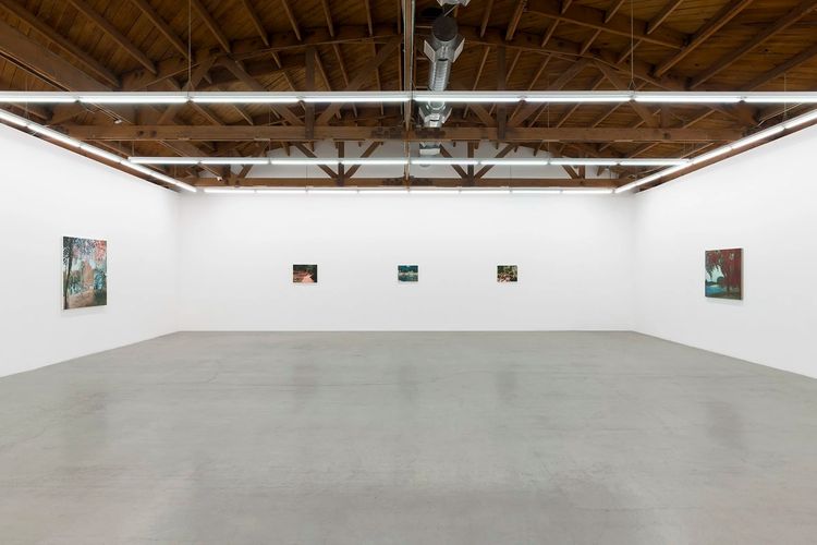 Installation view, Another Nature, Parrasch Heijnen Gallery · 2025 (2)