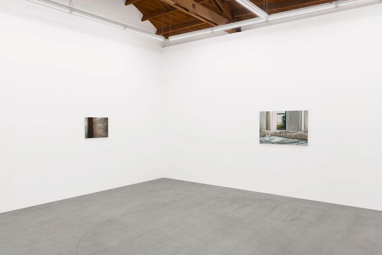 Installation view, Another Nature, Parrasch Heijnen Gallery · 2025 (1)