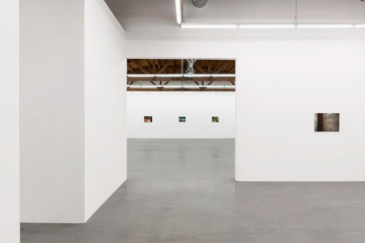 Installation view, Another Nature, Parrasch Heijnen Gallery · 2025 (3)