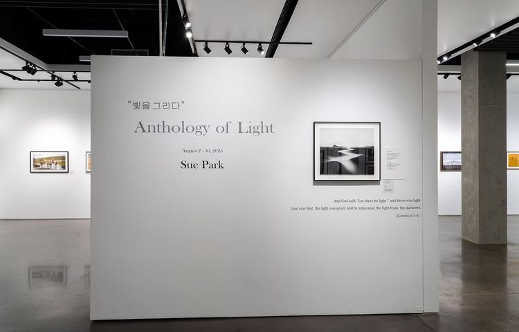 Installation view, Anthology of Light, Shatto Gallery · 2025 (1)