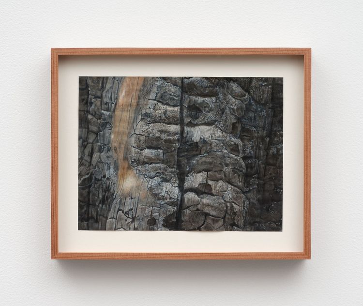 Installation view, Ariane Vielmetter, Commonwealth and Council · 2025 (4)