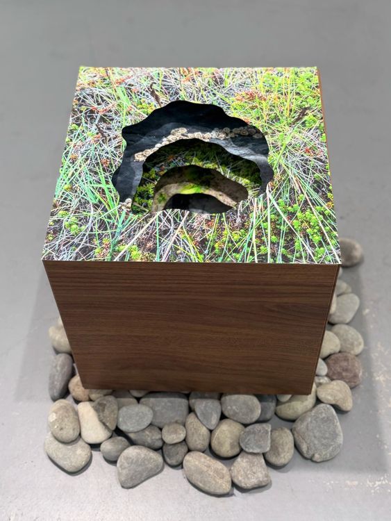 Installation view, As Above, So Below, CHUNG 24 GALLERY · 2025 (5)
