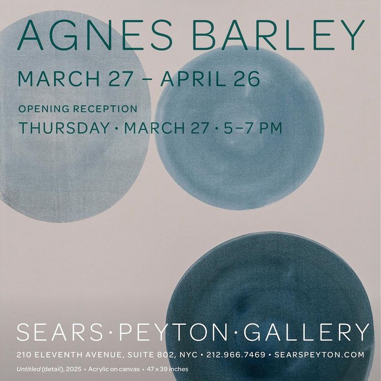 Installation view, Agnes Barley, Sears Peyton