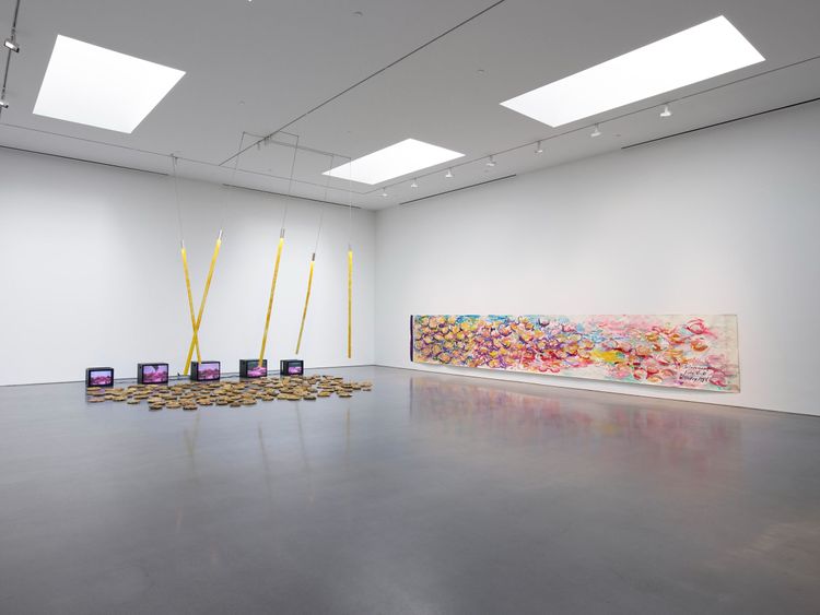 Installation view, Carolee Schneemann, 2025 (3)