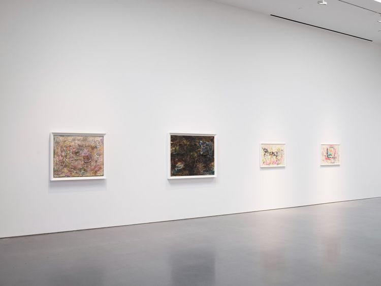 Installation view, Carolee Schneemann, 2025 (2)