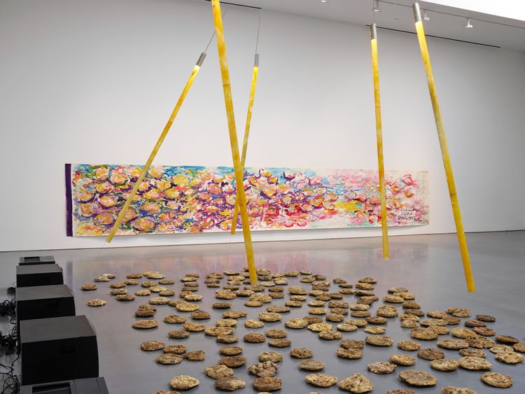 Installation view, Carolee Schneemann, 2025 (5)