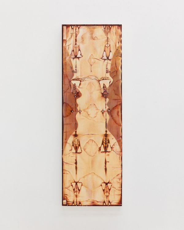 Installation view, The Terminal Beach, Chris Sharp · 2025 (11)