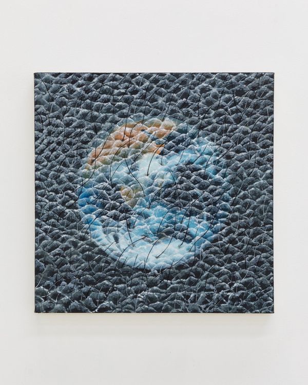 Installation view, The Terminal Beach, Chris Sharp · 2025 (19)