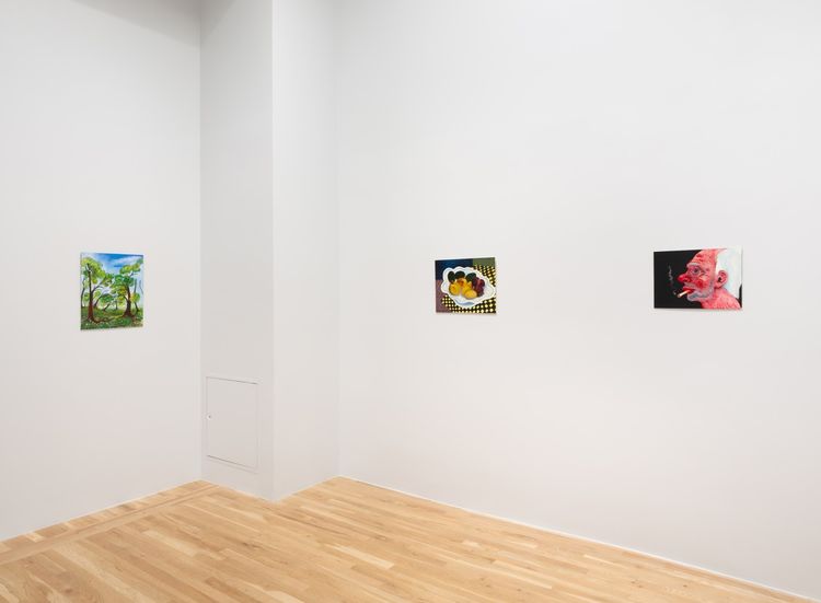 Installation view, Canned Heat, Derek Elller · 2025 (1)