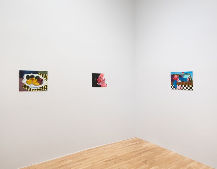 Installation view, Canned Heat, Derek Elller · 2025 (2)