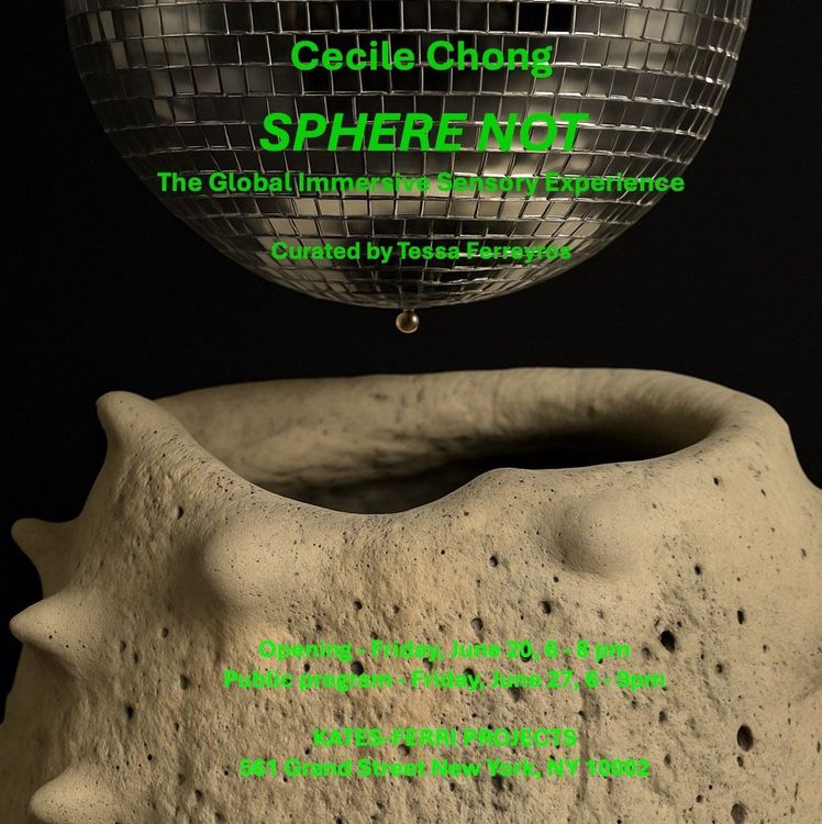 Installation view, Sphere Not, Kates-Ferri Projects, 561 Grand Street