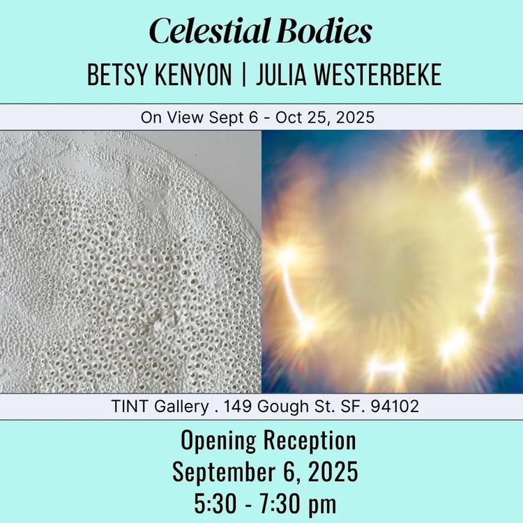 Installation view, Celestial Bodies, TINT Gallery