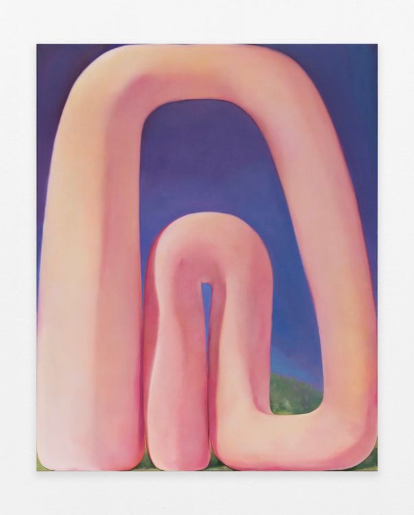 Installation view, C Lucy R Whitehead: Cuckoo Land, Megan Mulrooney · 2025 (6)
