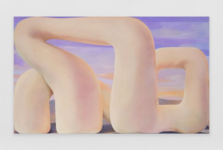 Installation view, C Lucy R Whitehead: Cuckoo Land, Megan Mulrooney