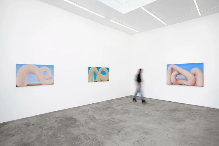 Installation view, C Lucy R Whitehead: Cuckoo Land, Megan Mulrooney · 2025 (2)