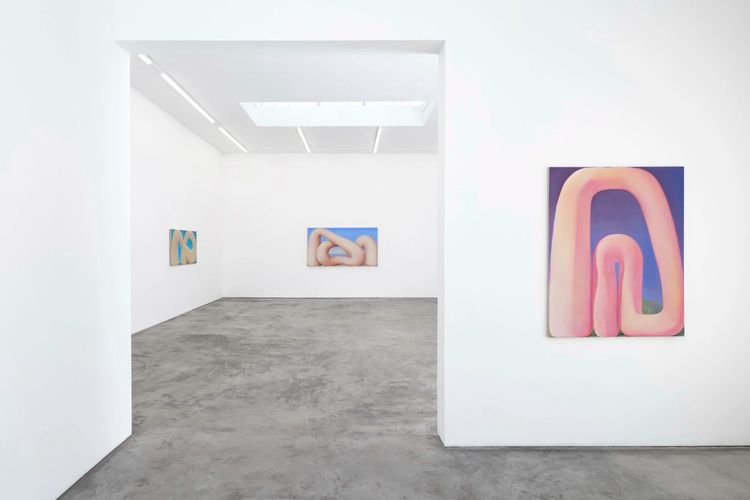 Installation view, C Lucy R Whitehead: Cuckoo Land, Megan Mulrooney · 2025 (1)
