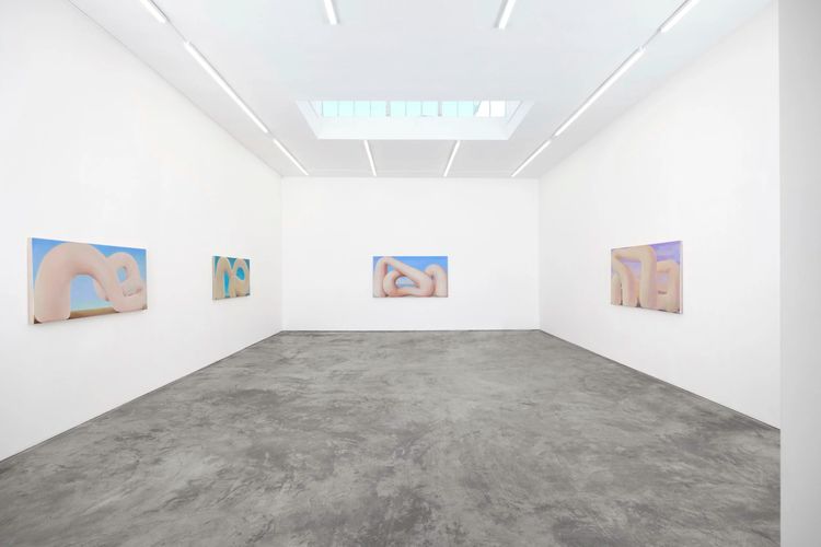 Installation view, C Lucy R Whitehead: Cuckoo Land, Megan Mulrooney · 2025 (3)
