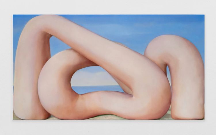 Installation view, C Lucy R Whitehead: Cuckoo Land, Megan Mulrooney · 2025 (5)