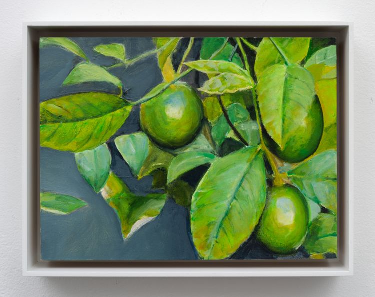 Installation view, Dike Blair, Karma, 549 West 26th Street · 2026 (49)