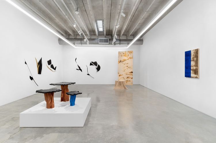 Installation view, That Which Comes Together, Mindy Solomon Gallery · 2026 (1)