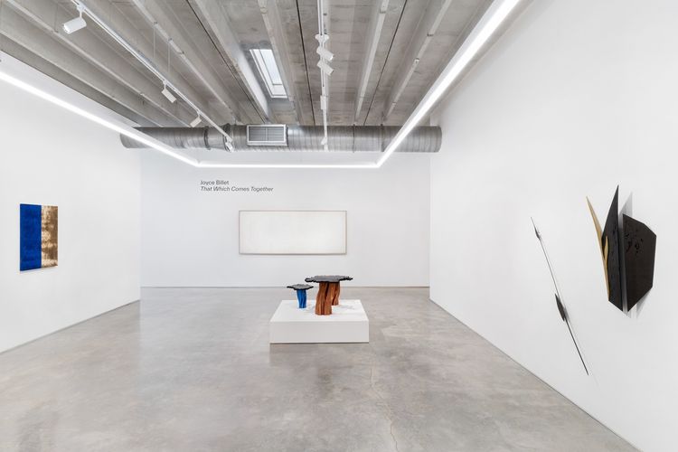 Installation view, That Which Comes Together, Mindy Solomon Gallery · 2026 (4)